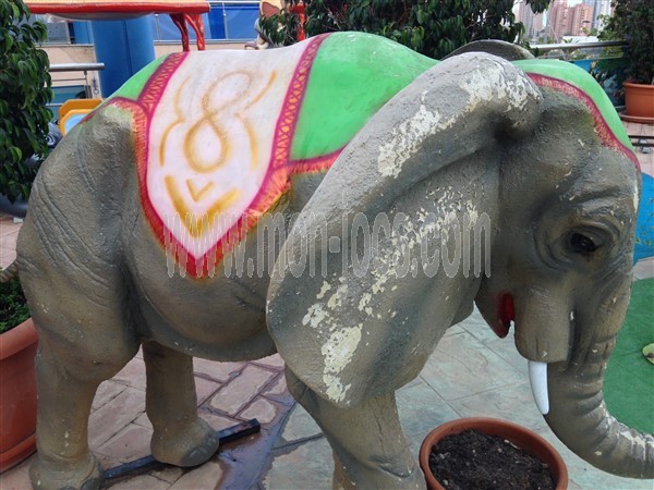 Elefante africano
