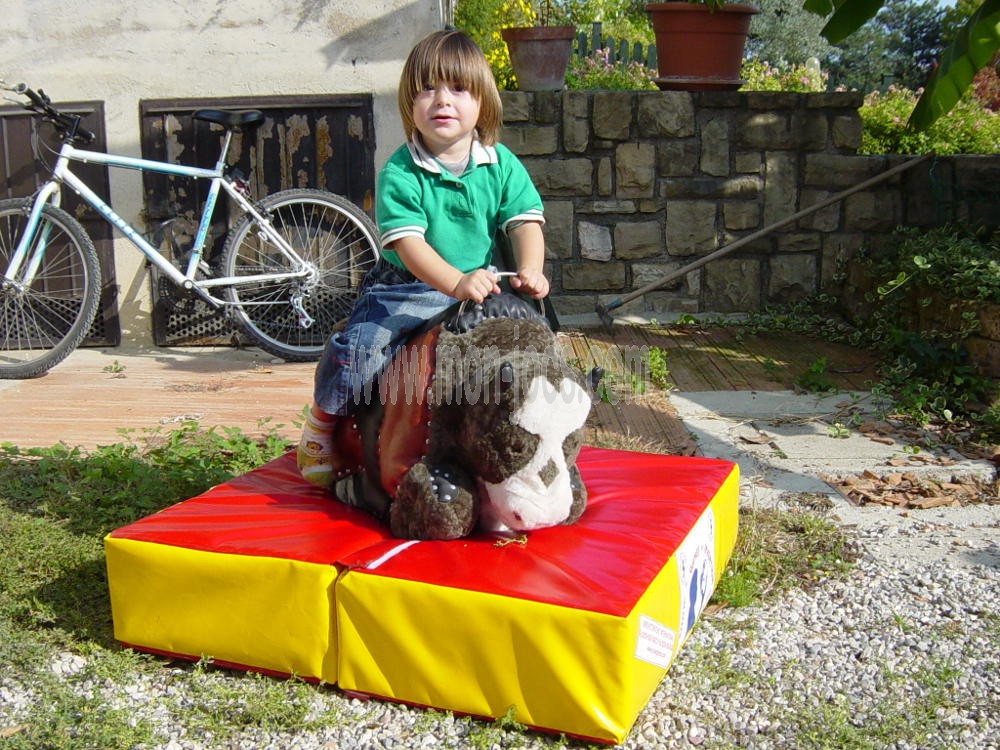Simulador Infantil Bisonte Mini | Mon-jocs