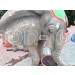 Elefante venta ocasión