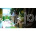 Decoración Bosque | Mon-jocs