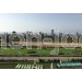 Mini-Golf Luxor venta