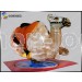Venta de Simulador Camello